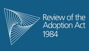 Review of the Adoption Act graphic identity, white triangle on blue background